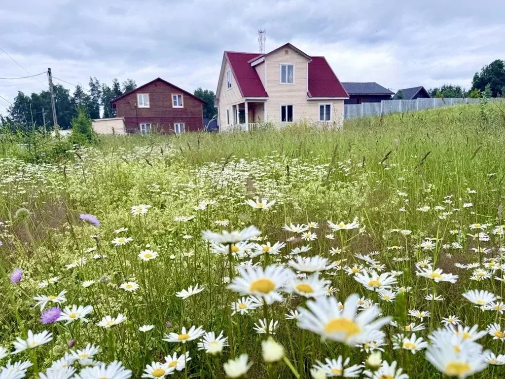 Дом в Ленинградская область, Выборгский район, Рощинское городское ... - Фото 2
