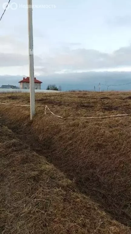 Участок в Ленинградская область, Гатчинский муниципальный округ, КП ... - Фото 2