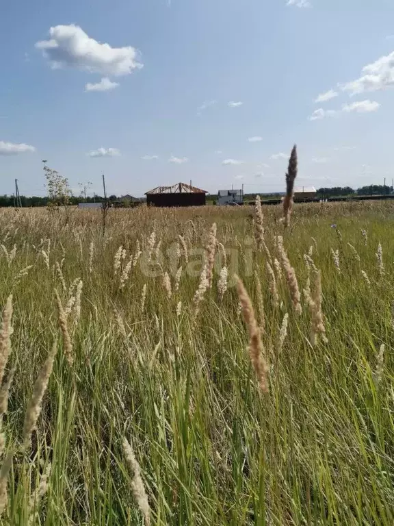 Участок в Ульяновская область, Ульяновск городской округ, с. Луговое ... - Фото 1