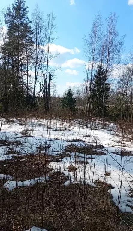 Участок в Ленинградская область, Выборгский район, Полянское с/пос, ... - Фото 1