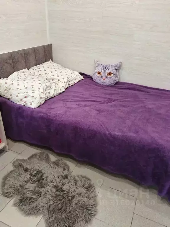 Комната Краснодарский край, Ейск ул. Калинина, 20 - Фото 1