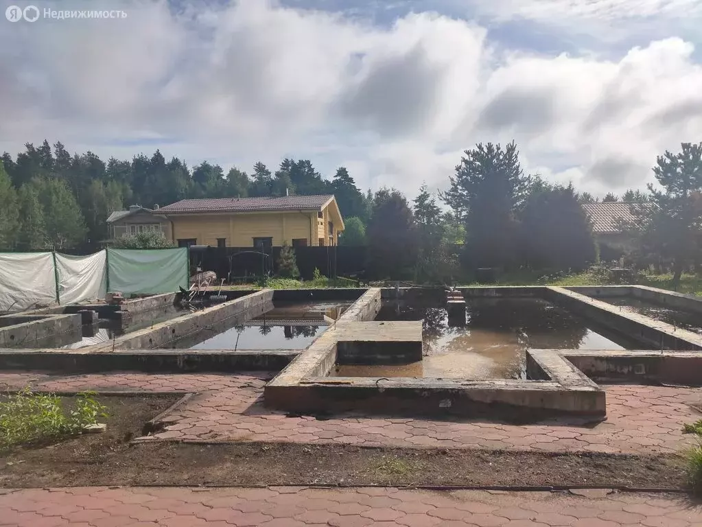 Дом в Выборгский район, Полянское сельское поселение, садоводческое ... - Фото 1