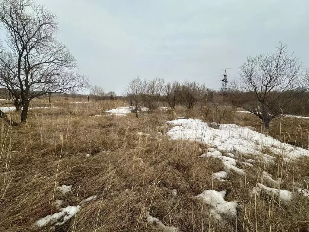 Участок 8,1 га (СНТ, ДНП) - Фото 0