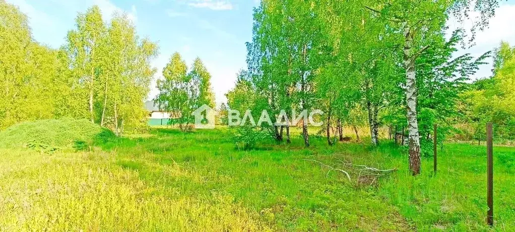 Участок в Калининградская область, Зеленоградский муниципальный округ, ... - Фото 2