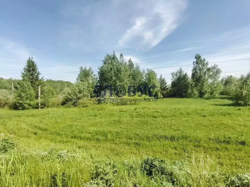 Участок в Рязанская область, Рыбновский муниципальный округ, д. ... - Фото 2