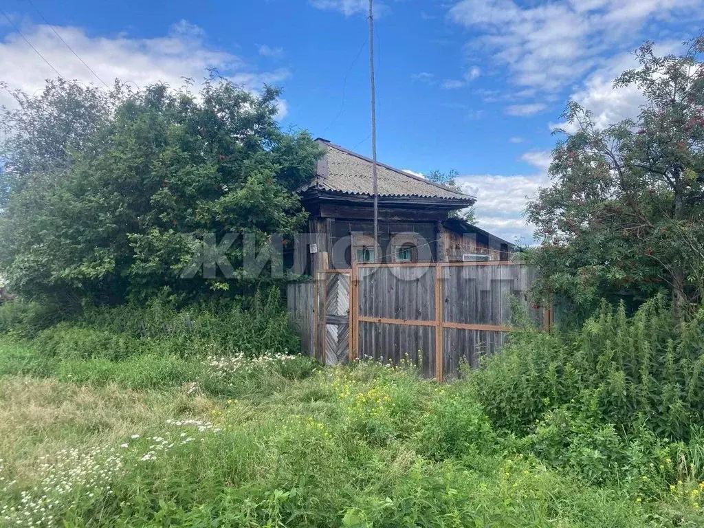 Дом в Новосибирская область, Коченевский район, д. Крохалевка ул. Мира ... - Фото 0
