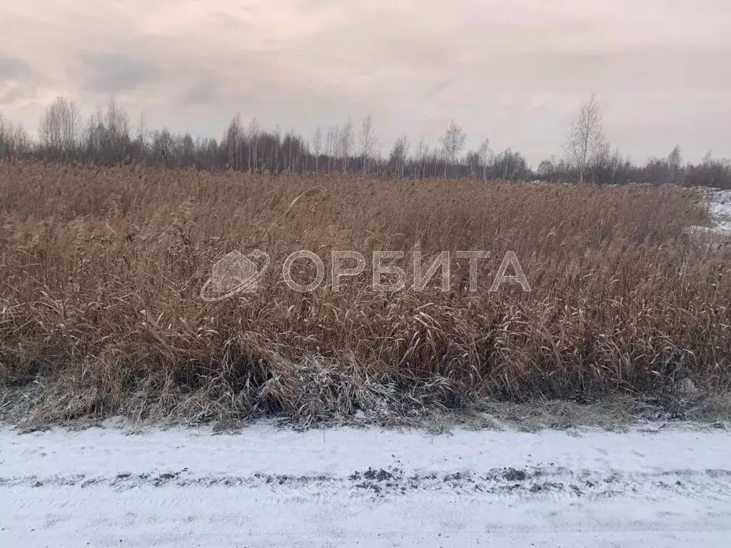 Участок в Тюменская область, Тюмень ул. Чимеевская (220.0 сот.) - Фото 1
