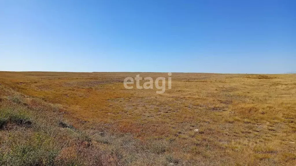 Участок в Крым, Черноморский район, Медведевское с/пос, с. Медведево ... - Фото 0