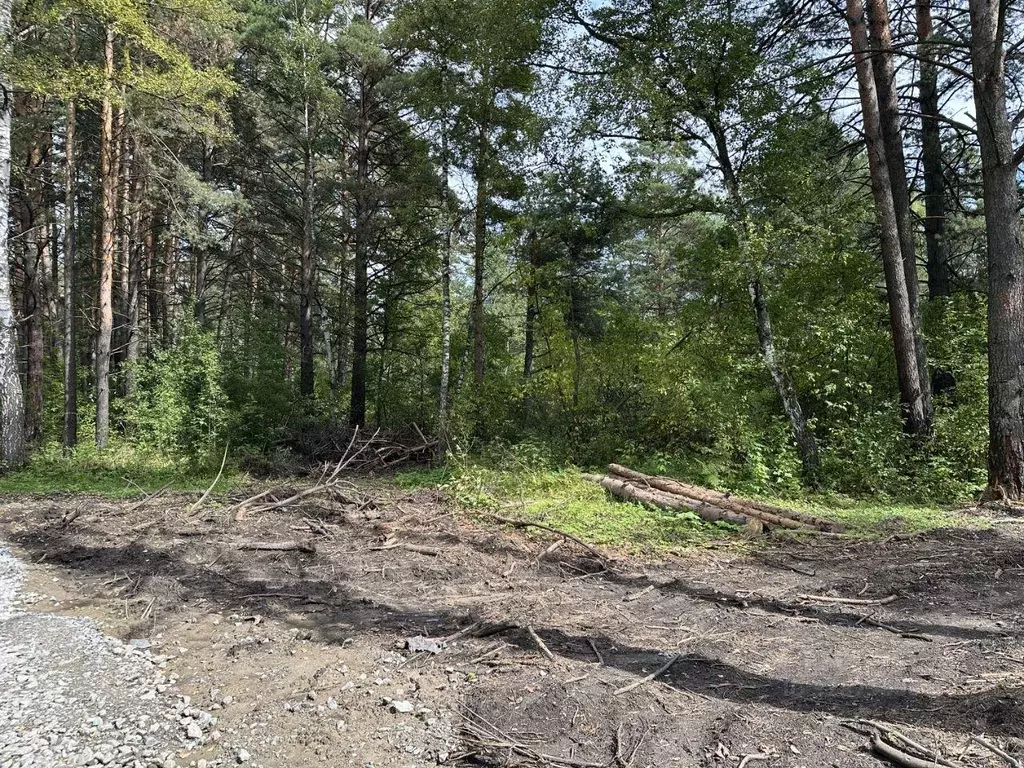 Участок, 8.7 сот., поселения (ижс) - Фото 1