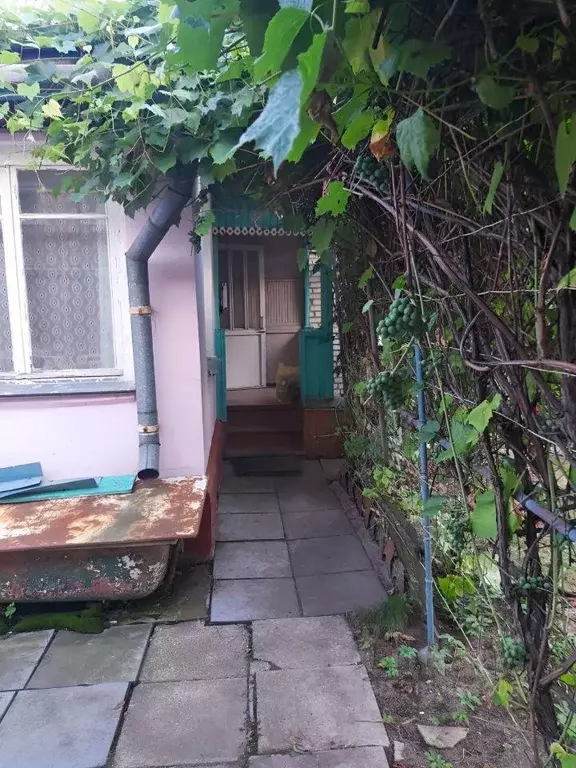 Дом, 60 м - Фото 1