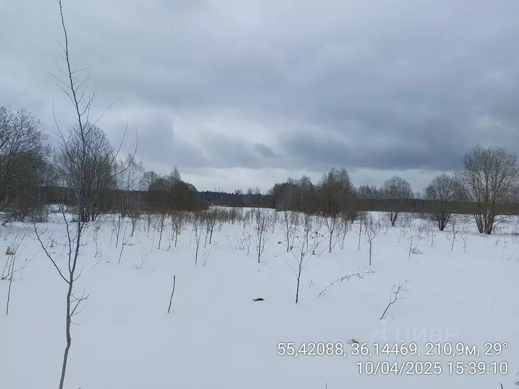 Участок в Московская область, Наро-Фоминский городской округ, д. Лужки ... - Фото 0