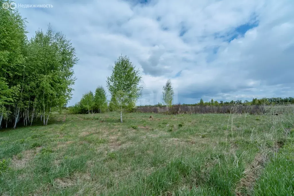 Участок в Бийский район, СДТ Зверовод, Алтайская улица (10 м) - Фото 2