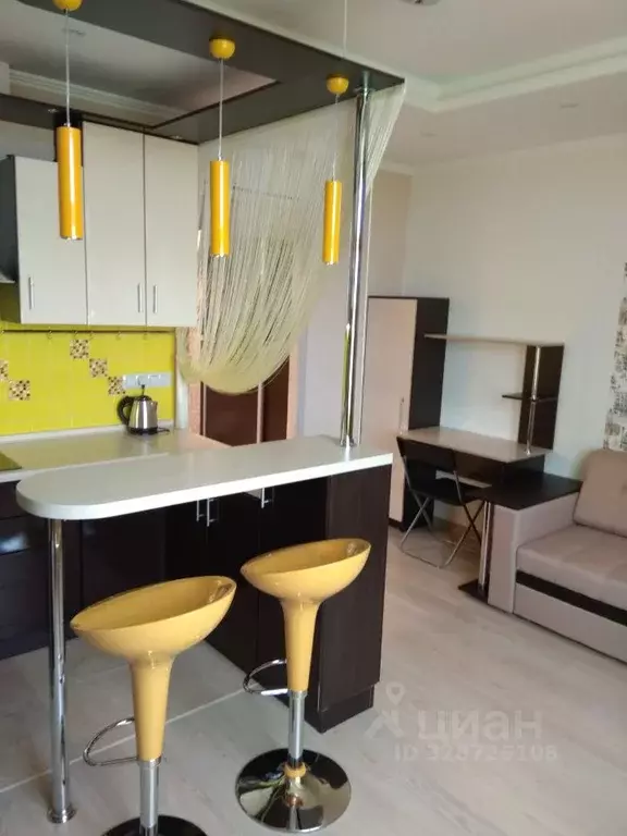 Студия Московская область, Котельники ул. Сосновая, 1к1 (27.2 м) - Фото 2