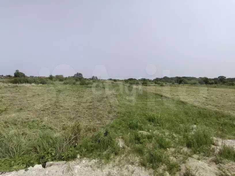 Участок 8 сот. (СНТ, ДНП) - Фото 1