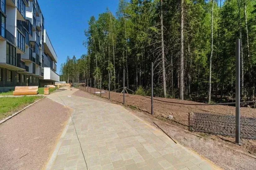 1-к кв. Ленинградская область, Сертолово Всеволожский район, ... - Фото 2