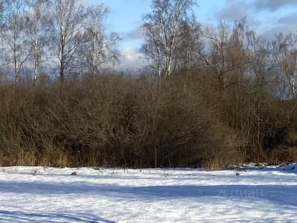 Участок в Московская область, Клин городской округ, д. Трехденево  ... - Фото 0