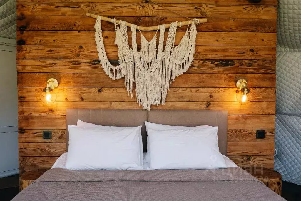 Дом в Алтай, Чемальский район, с. Анос ул. Клубничная (28 м) - Фото 2