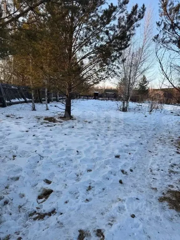 Участок в Забайкальский край, Читинский район, Карповское СНТ  (10.0 ... - Фото 2