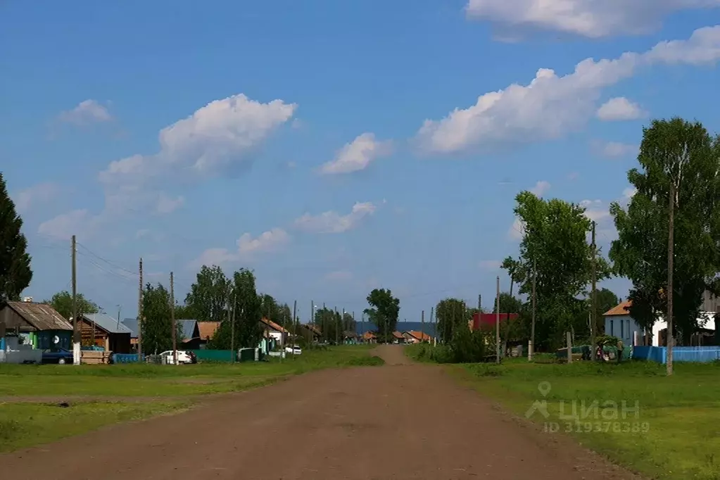 Участок в Хакасия, Бейский район, д. Новокурск ул. Дорожная, 12 (50.0 ... - Фото 0