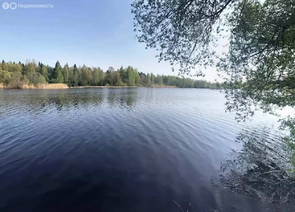 Участок в Тверская область, Калязинский муниципальный округ, село ... - Фото 0