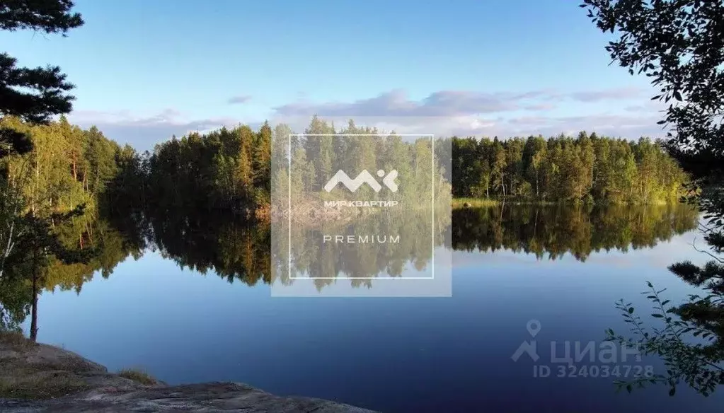 Участок в Ленинградская область, Приозерский район, Севастьяновское ... - Фото 1