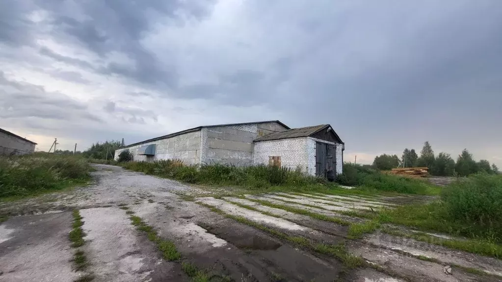 Помещение свободного назначения в Рязанская область, Клепиковский ... - Фото 0