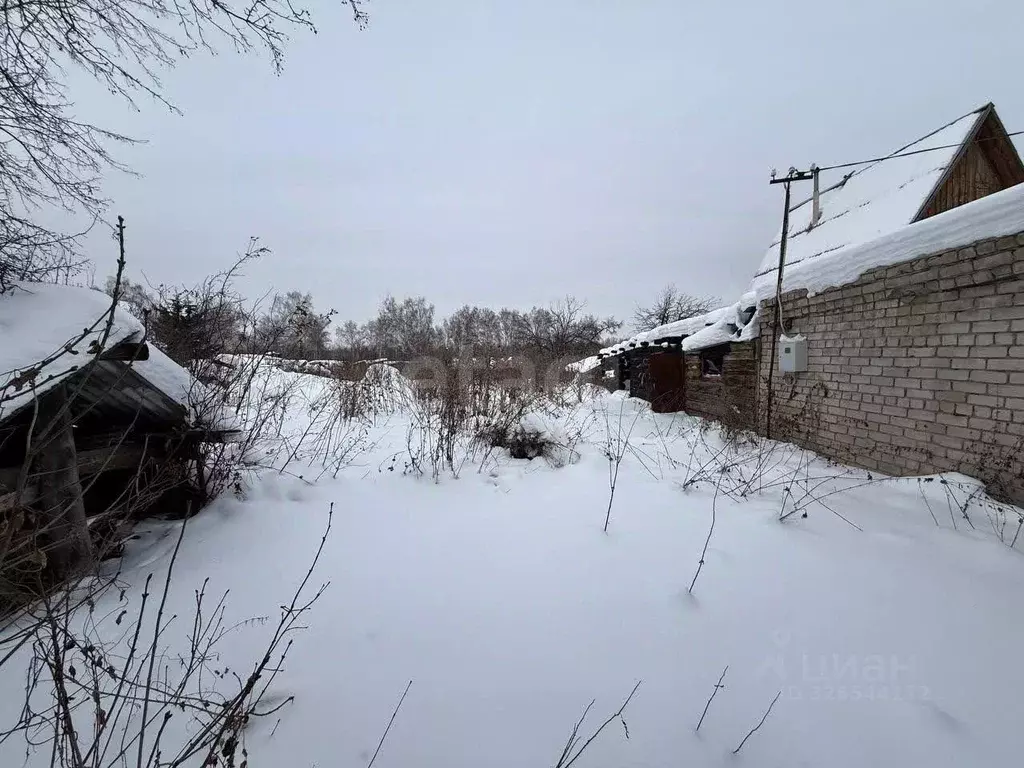 Участок в Курганская область, Кетовский муниципальный округ, Иволга-24 ... - Фото 1