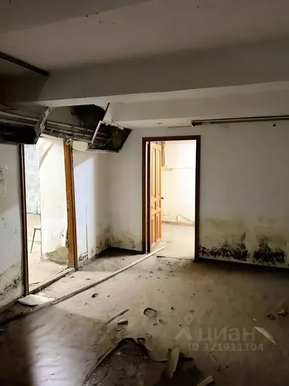 Помещение свободного назначения в Самарская область, Самара ул. ... - Фото 1