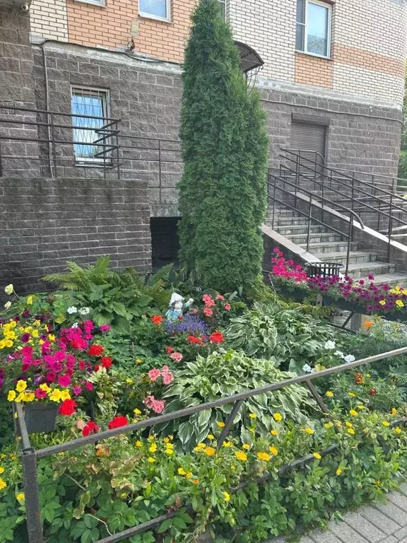 1-к кв. Санкт-Петербург просп. Солидарности, 9к3 (41.3 м) - Фото 2