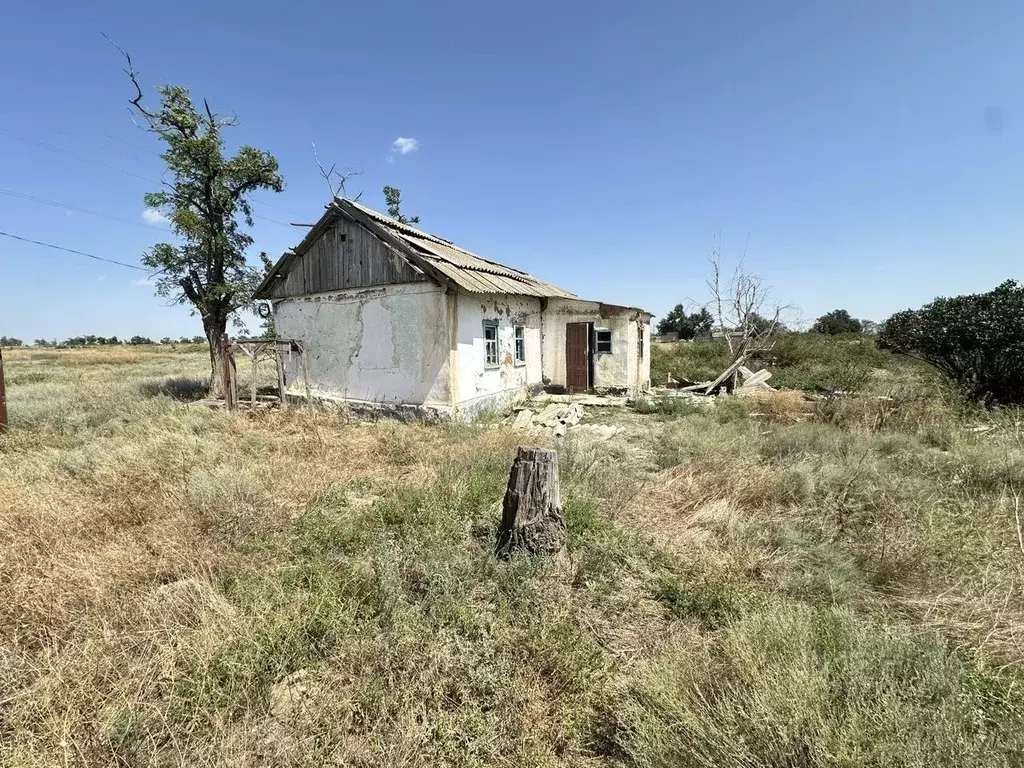 Участок в Ставропольский край, Буденновский муниципальный округ, с. ... - Фото 0