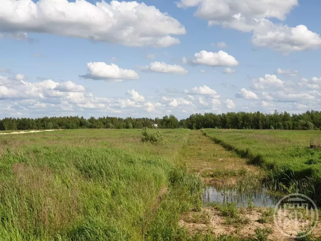 Участок в Ленинградская область, Ломоносовский район, Виллозское ... - Фото 2