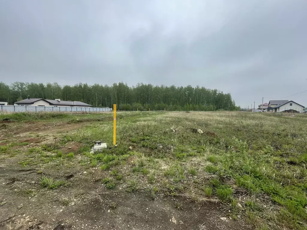 Участок в Челябинская область, Сосновский район, Кременкульское с/пос, ... - Фото 0