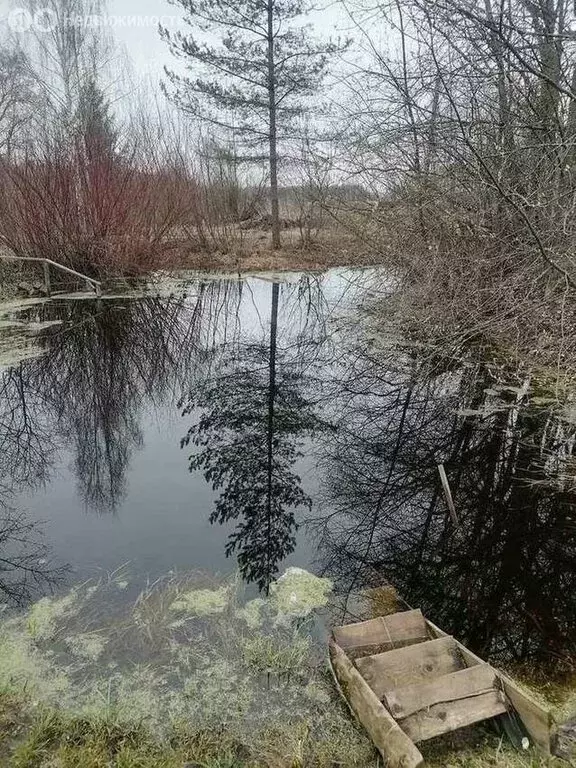 Участок в Пасеговское сельское поселение, деревня Гавшонки (15.4 м) - Фото 0