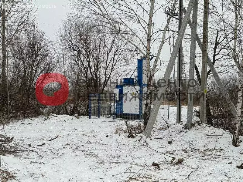 Участок в Тюменский район, село Борки (11 м) - Фото 0