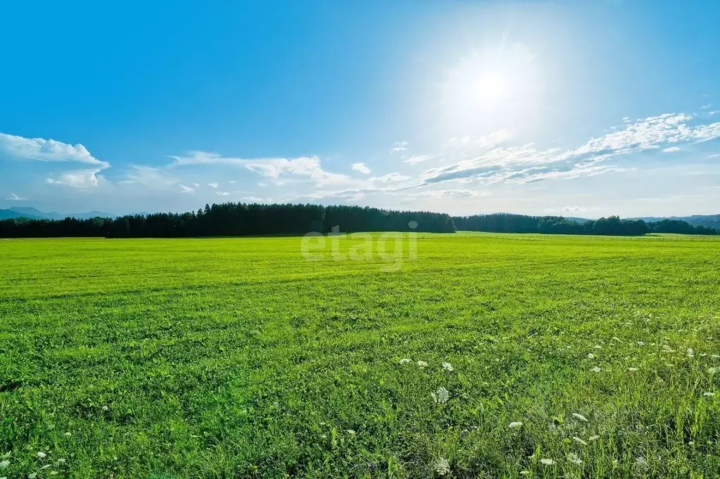 Участок в Коми, Сыктывдинский район, с. Выльгорт  (52.5 сот.) - Фото 0