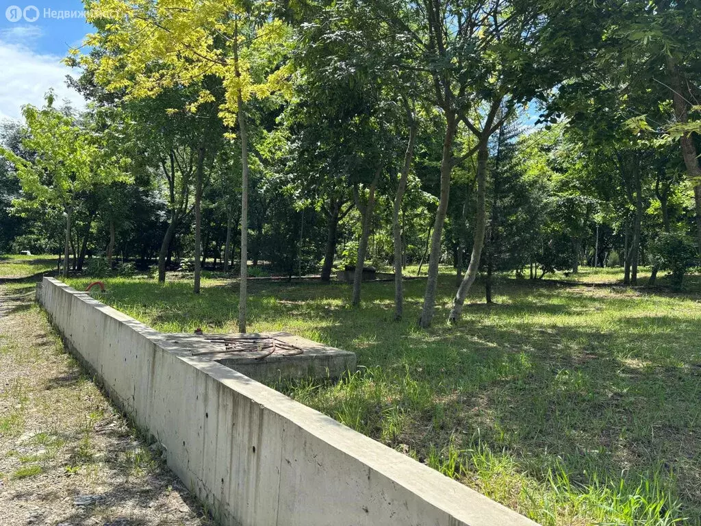 Участок в село Борисовка, Солнечная улица, 2к1 (25 м) - Фото 1