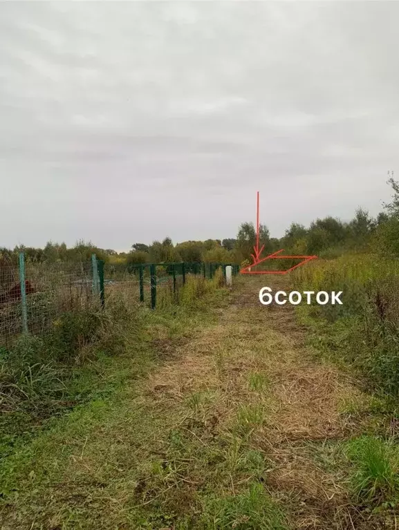 Участок в Калининградская область, Зеленоградск пос. Вишневое,  (6.0 ... - Фото 1