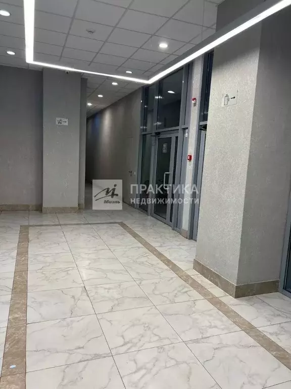 Студия Москва ш. Остафьевское, 14к2 (25.2 м) - Фото 2