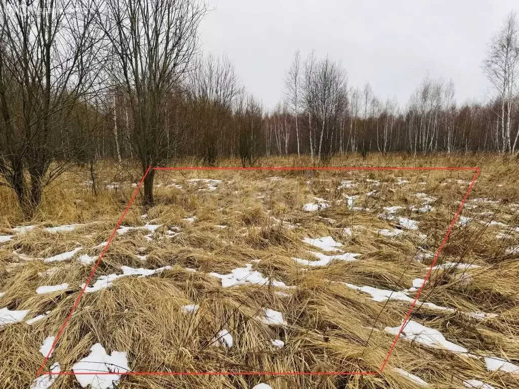 Участок в Тульская область, городской округ Тула, деревня Сергеево (16 ... - Фото 0