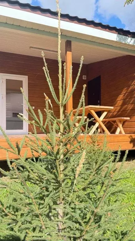 Дом в Татарстан, Лаишево ул. Ленина, 99А (65 м) - Фото 2