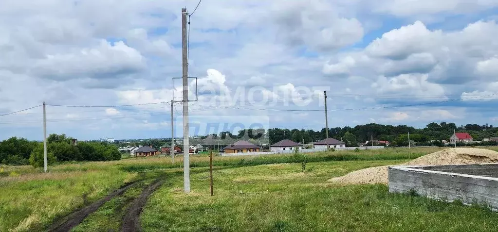 Участок в Курская область, Курский район, Новопоселеновский сельсовет, ... - Фото 1