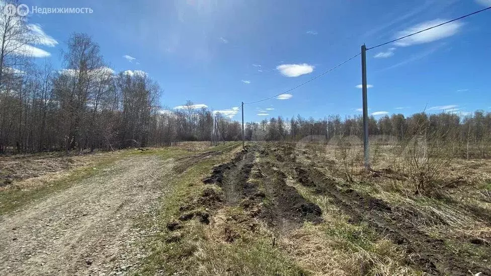 Участок в Ялуторовский район, село Киева (10 м) - Фото 1