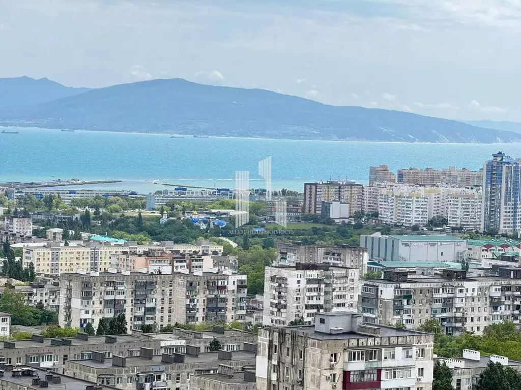 1-к кв. Краснодарский край, Новороссийск ул. Куникова, 47Г (34.1 м) - Фото 0