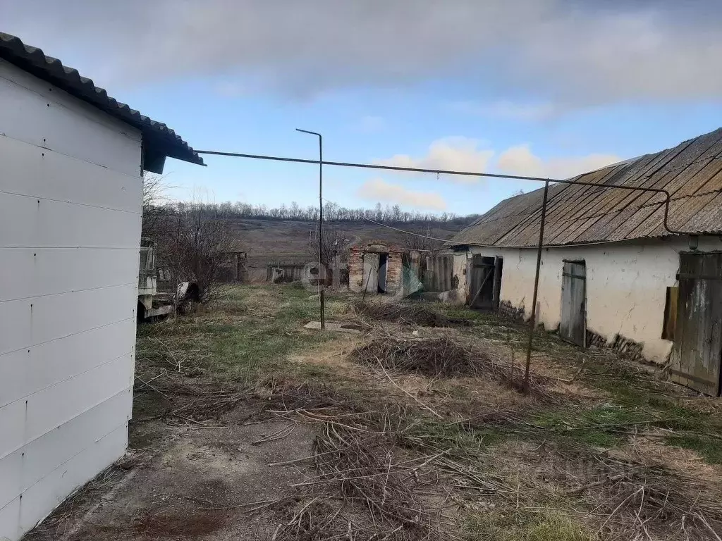 Дом в Белгородская область, Новооскольский городской округ, с. Новая ... - Фото 1