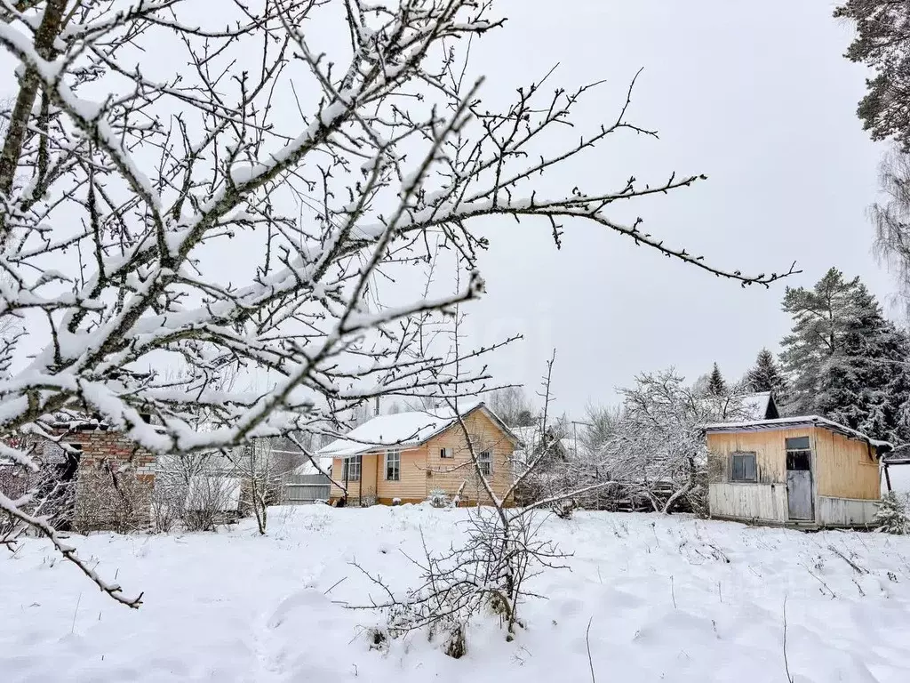 Дом в Псковская область, Псковский район, Карамышевская волость, ... - Фото 1