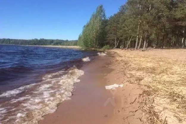 Дом в Ленинградская область, Выборгский район, Красносельское с/пос, ... - Фото 2