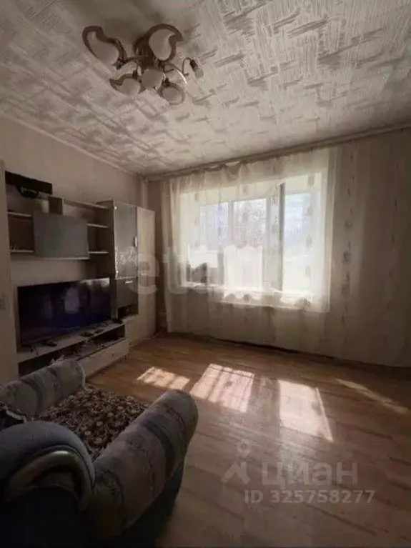 Комната Забайкальский край, Чита ул. Недорезова, 16 (35.9 м) - Фото 1