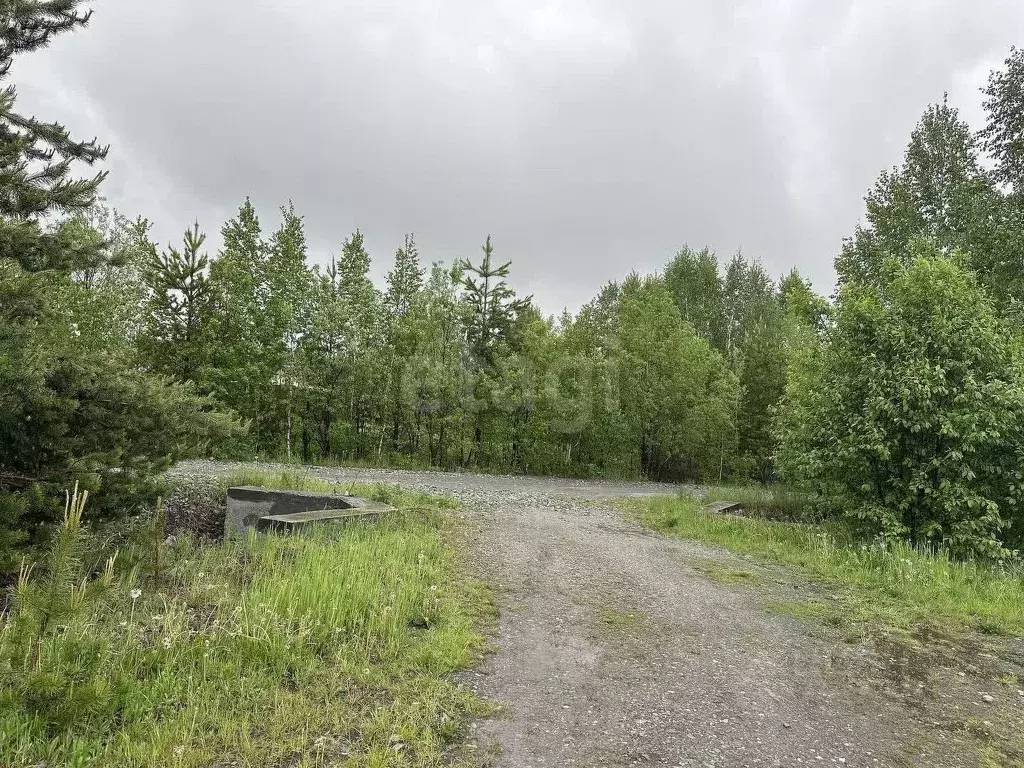 Участок в Свердловская область, Первоуральск муниципальный округ, д. ... - Фото 2