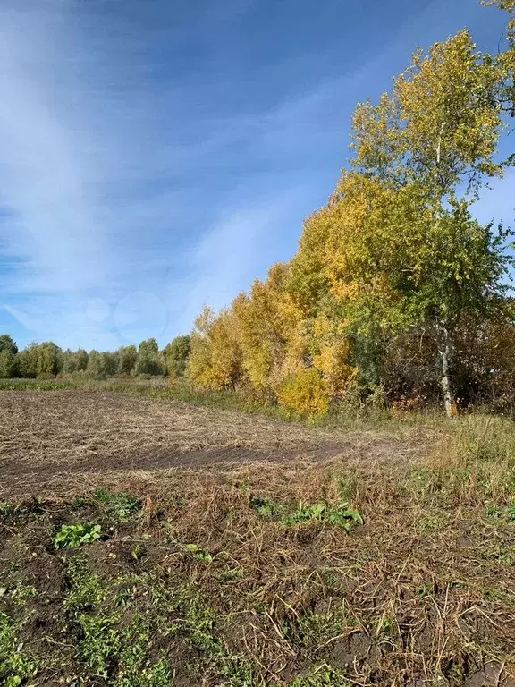 Участок 15 га (СНТ, ДНП) - Фото 1