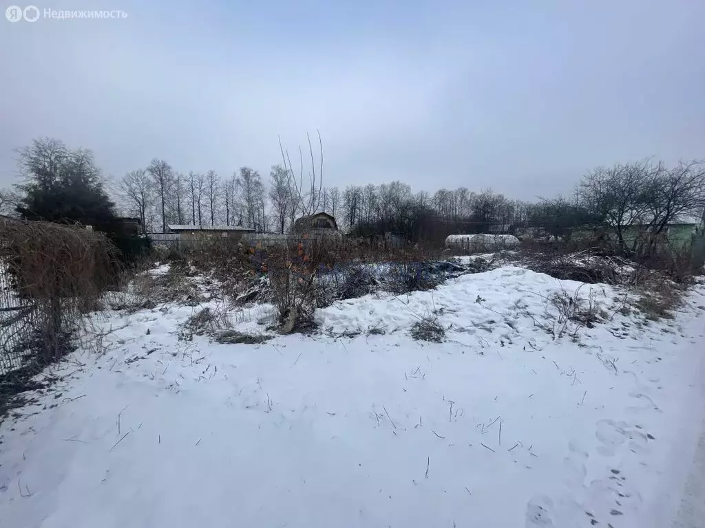 Участок в Нижний Новгород, садоводческое некоммерческое товарищество ... - Фото 1